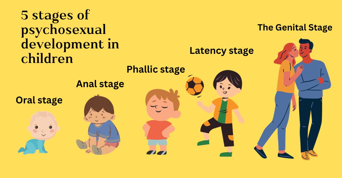 5 Stages Of Freud's Psychosexual Theory In Children - TETaDDa